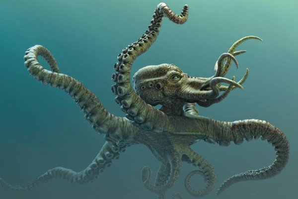 Кракен даркнет ссылка kraken link24 info