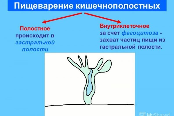 Кракен даркнет не работает