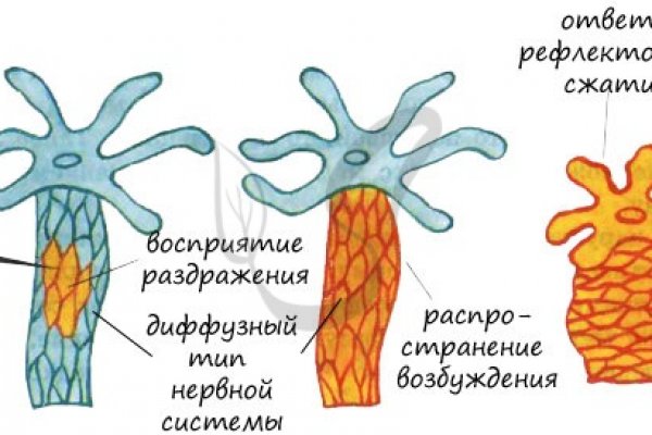 Ссылка кракен сайт зеркало